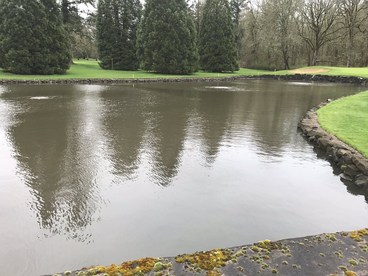 mwpearce03's tweet photo. ACT now with #SonarONE &amp; #SeClear. Advanced Control Techniques will help you stay ahead of weeds and algae this season. See #SePRO 4 Help! https://t.co/8Eh72ntW3V