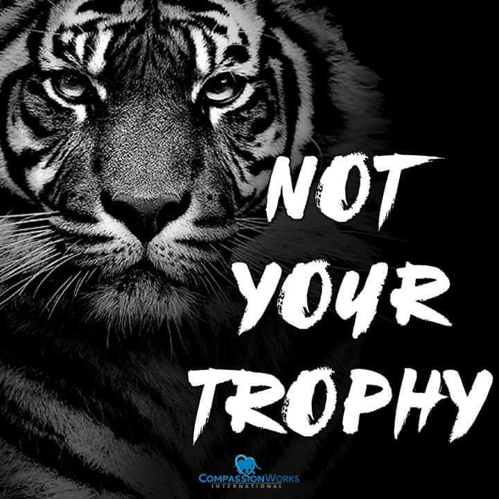 Peace For Animals (@janelaw16) on Twitter photo 