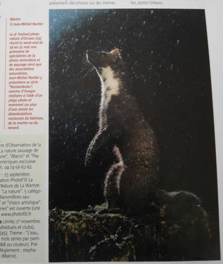 Photo dans le magasine #NatImages pour l'annonce du Festival Photo Nature d'Ornans #FPNORNANS  <a href="/OrnansArcSenans/">Ornans Arc&Senans</a> <a href="/ornansofficiel/">Ornans Officiel</a>