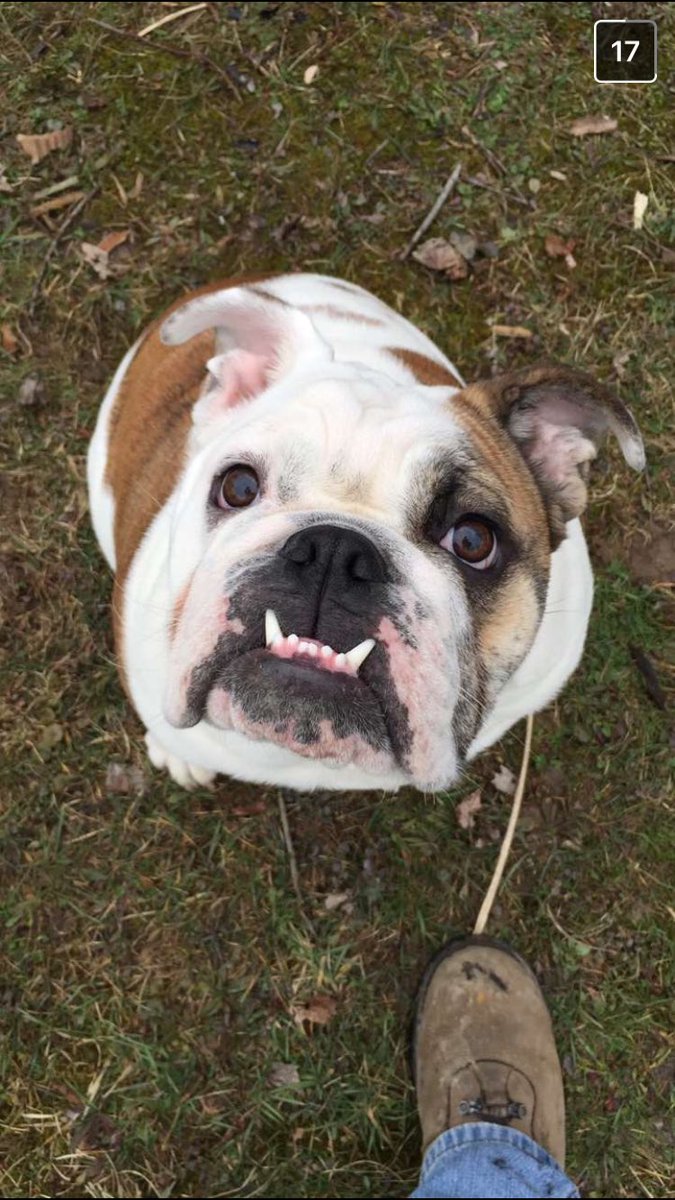 Gary is voting <a href="/GreenLight4OU/">GreenLight4OU</a> . Gary is a beautiful lil beastie. Be like Gary and #VoteGreenLight