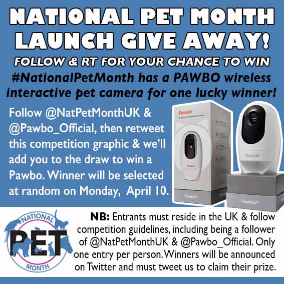 NatPetMonthUK's tweet photo. #Win a fabulous interactive pet camera from @pawbo_official to celebrate the #NPMlaunch. Follow both accounts &amp; RT for your chance to win. https://t.co/2r2GAlIE9G