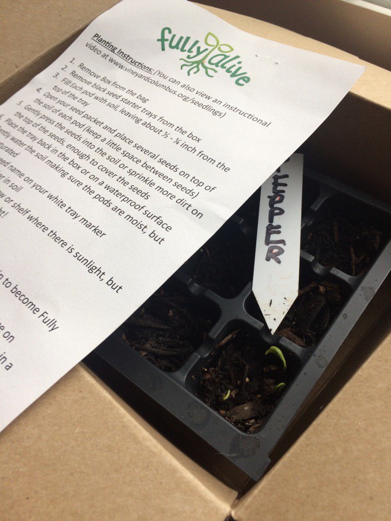 meylinyoung's tweet photo. #FullyAliveVC https://t.co/LCAagFOz5b