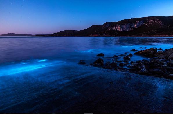 Playa de Tasmania se vuelve color azul neón a causa de un maravilloso fenómeno natural goo.gl/5IfERt