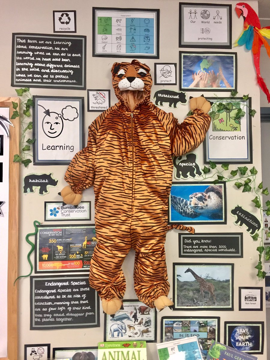 TheHarbourDSP's tweet photo. We are very excited about our new topic. Can you guess what it is? #TopicTable #Excellence #Excitement #Learning @foxfield https://t.co/IduhbH1pGk