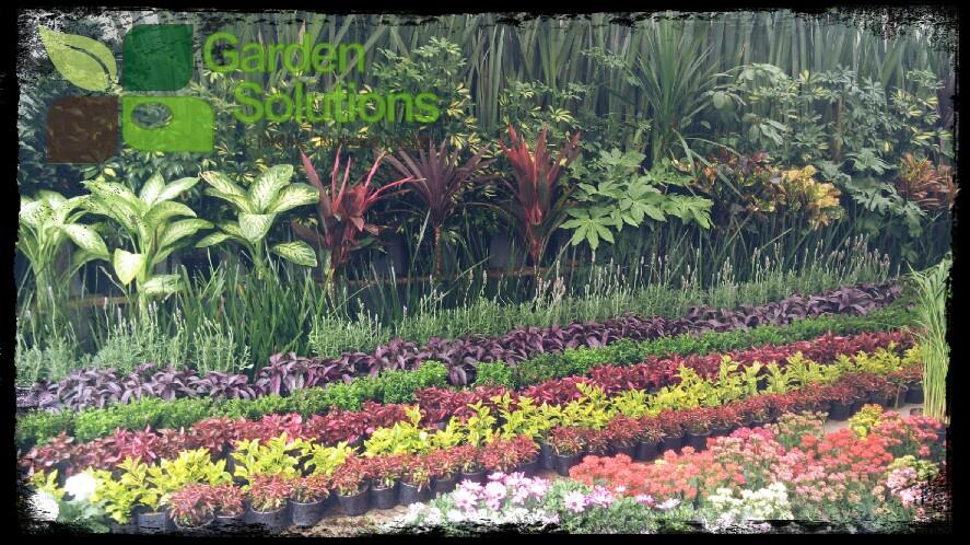 Tenemos el diseño que hará lucir tu jardín! 
#diseños #paisajismo #colores #variedad 
gardensolutionsmx.com