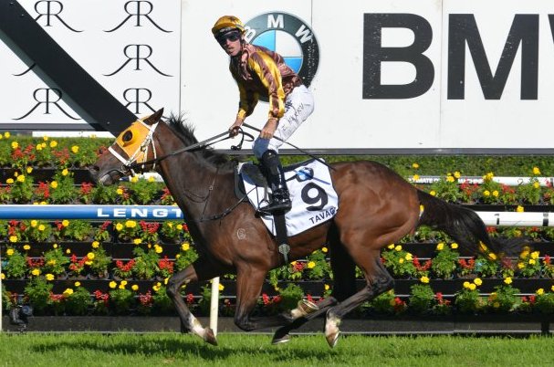 CamptonRacing's tweet photo. Let's hope @TommyBerry21 can do it again this year #Tavago #Inference #Derby https://t.co/GKCAxXSmR2