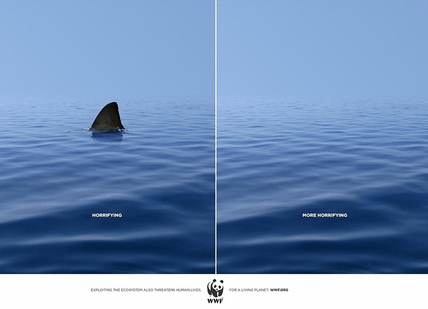Redace_10's tweet photo. @WWF's #Shark Advertisement got me good. Very clever. #wwf #UWIntro2Rhet https://t.co/lIXEyLBg7A