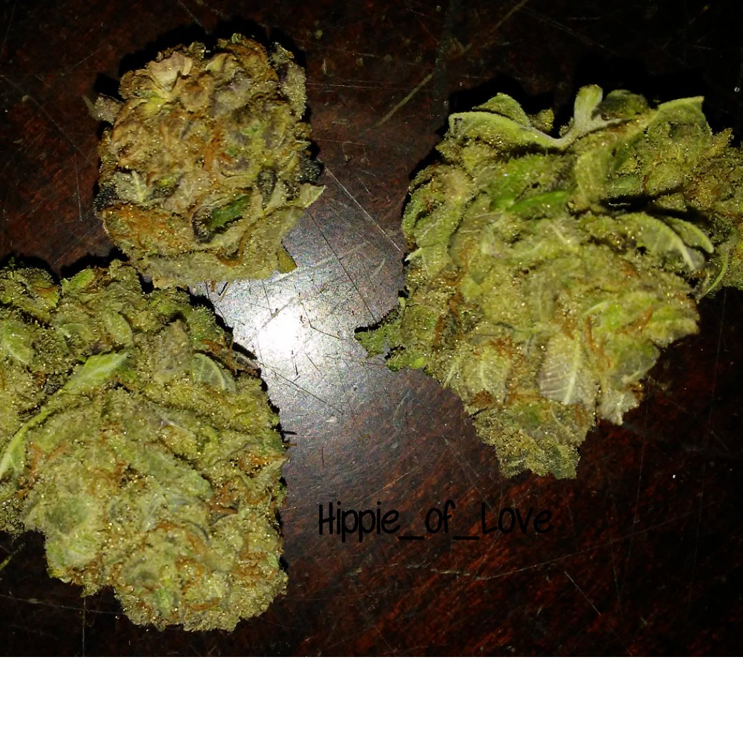 Hippie_of_Love's tweet photo. Grandaddy purp https://t.co/damfrbY2aH