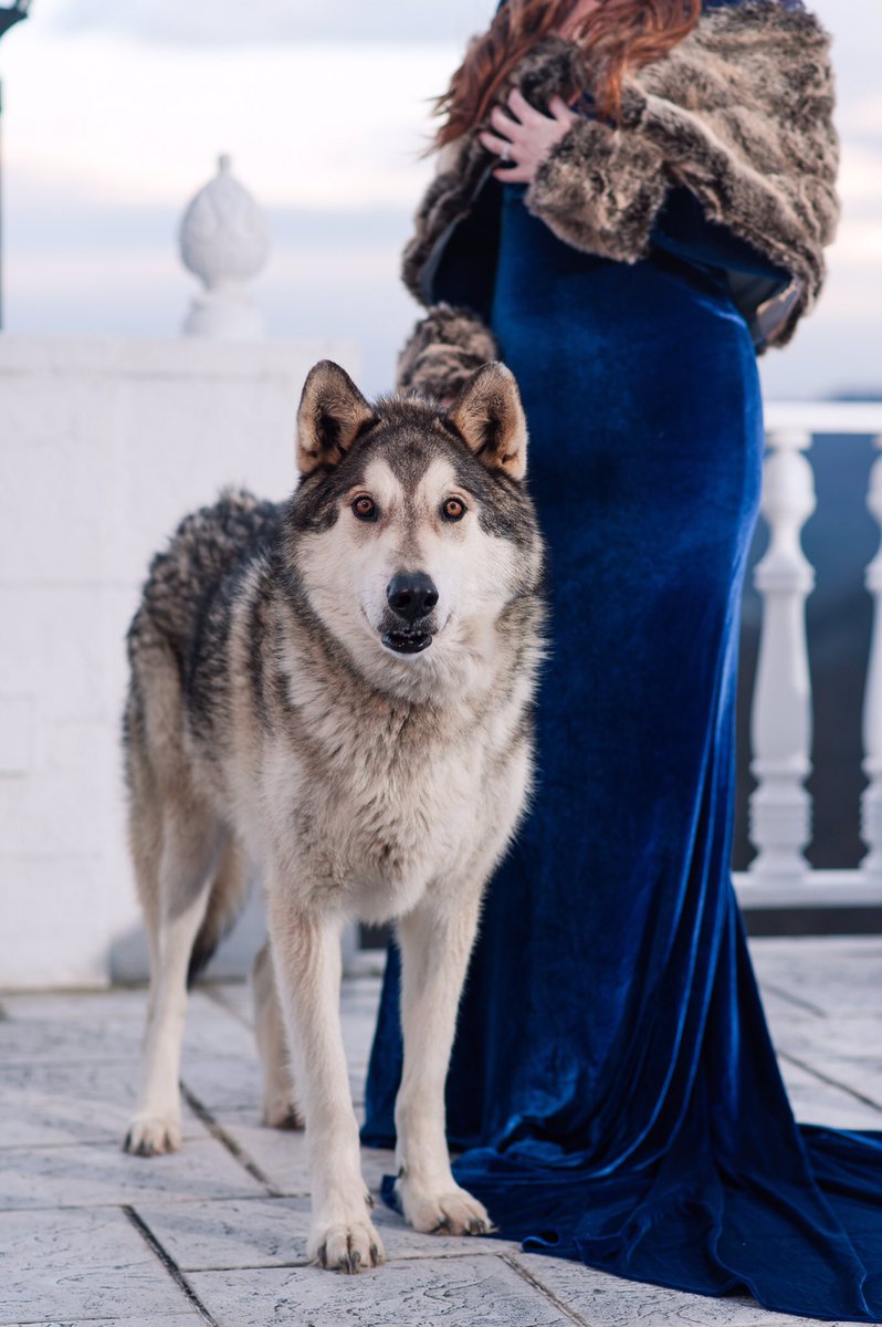 Just in time for the season 7 trailer is our #GameOfThrones #wedding styled shoot that's going viral! <a href="/emiliaclarke/">Emilia Clarke</a> <a href="/SophieT/">Sophie Thornley</a>