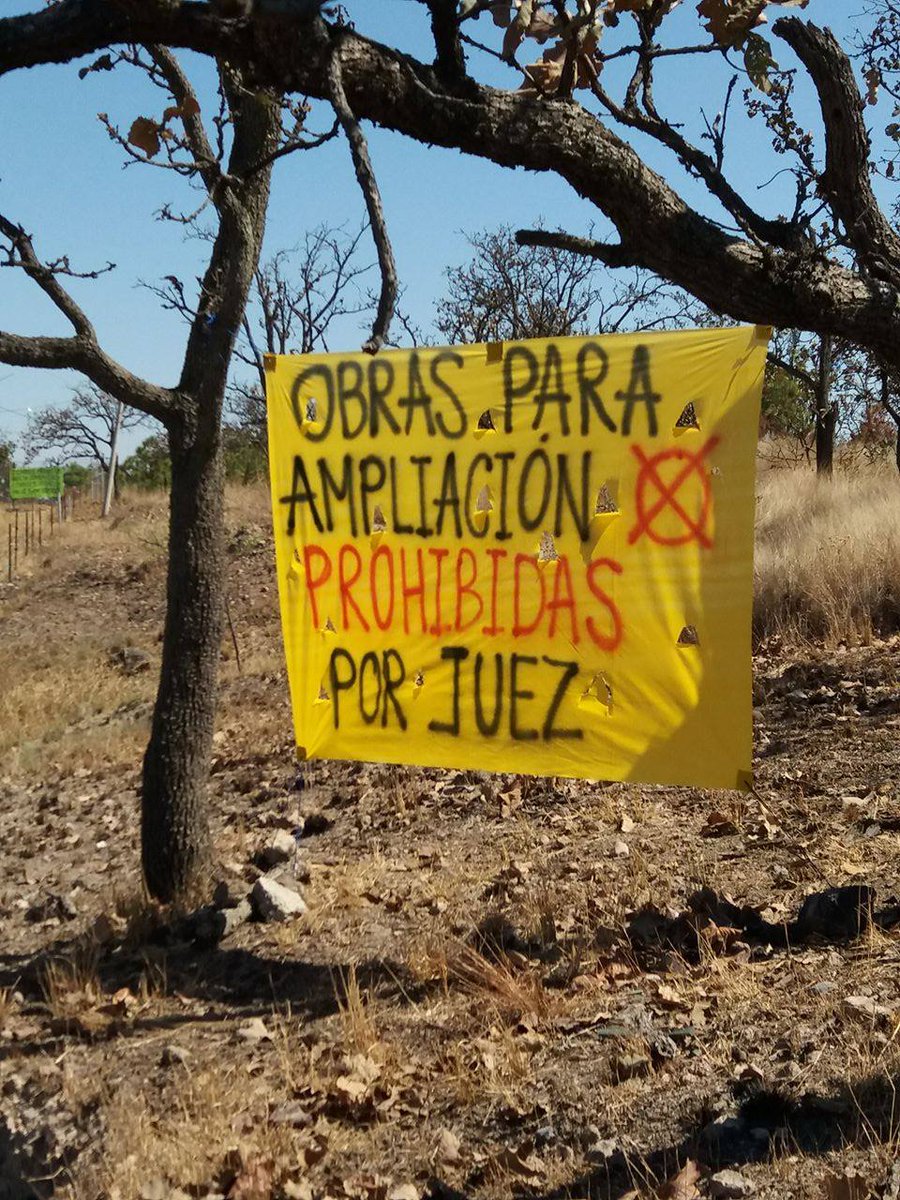 bosquenixticuil's tweet photo. Boletín de prensa: NO hay consenso con @PabloLemusN sobre ampliación de Av #ÁngelLeaño : https://t.co/Q5UQsjsJNL https://t.co/cai0tHqjV9