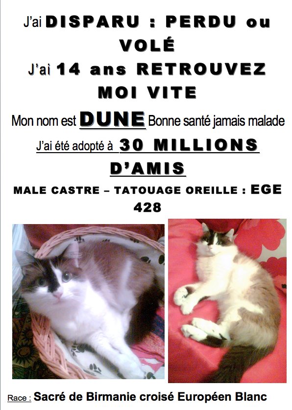 RostatAlberto's tweet photo. Parlé à une dame très triste car son chat a disparu il y a plusieurs semaines. Elle n'a pas Twitter, alors je la relaie. Paris XVIII. RT svp https://t.co/n5GbyxfeIQ
