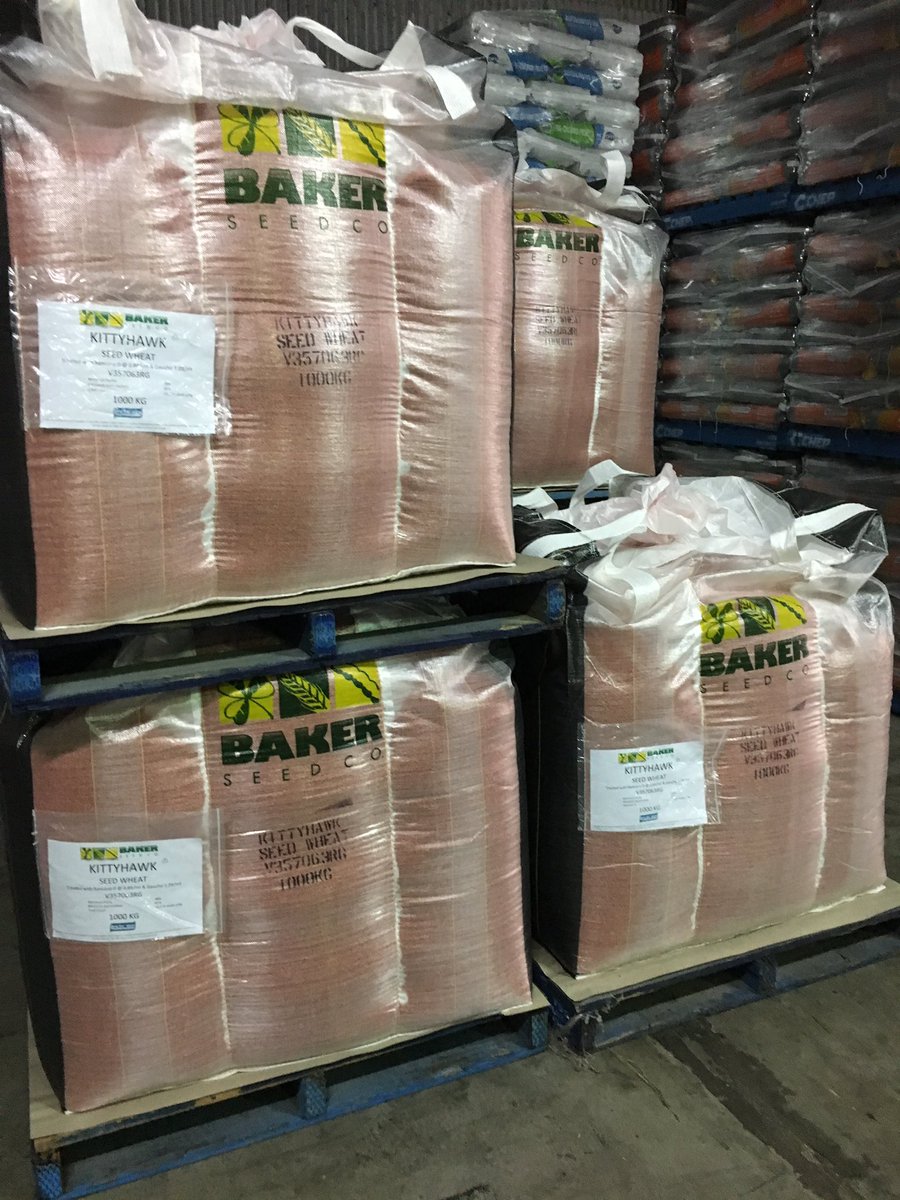 Azzaseed's tweet photo. Not many of these left in the shed after this week #winterwheats #bakerseedco https://t.co/uIBAgtKCvb