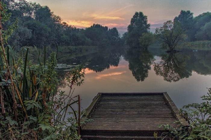 Day tickets available from legacy tackle for the Aycliffe angling club pond at a bargain £5 .
Get them instore 
#fishing