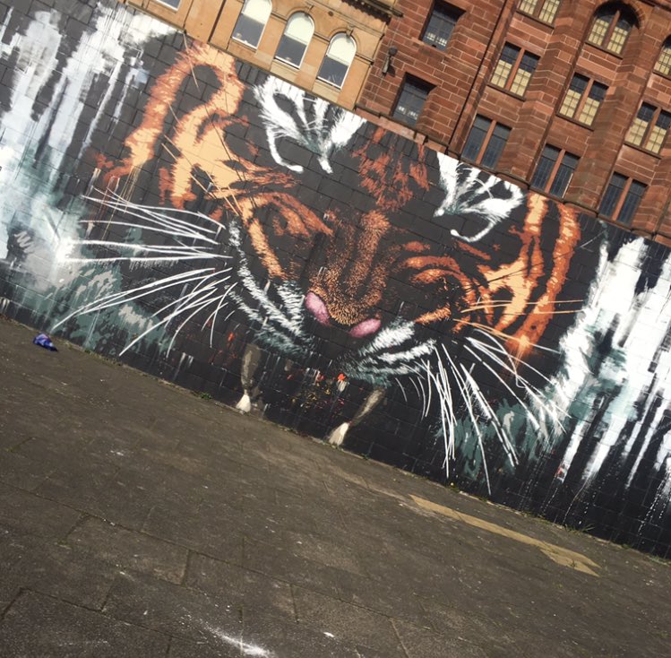 gemmac2002's tweet image. 🐅🐅 #Tigers