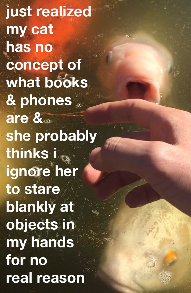 artinstitutechi's tweet photo. We’re inviting artists to respond to themes explored in the exhibition Go #GoInternetPoems—with @steveroggenbuck.

(Artist: @verysoftlake) https://t.co/H26wj6bzTi