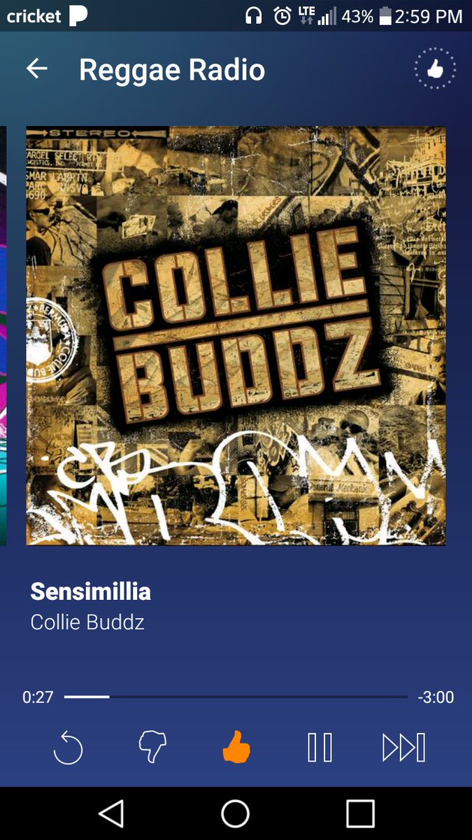 ColucciCannabis's tweet photo. @CollieBuddz We love #Sensi 
#CannabisFamilies 💚 #Pot4Parents 🌲 
#CannaVsPharm 💯
#WomenOfCannabis https://t.co/RVSKFV9T9b