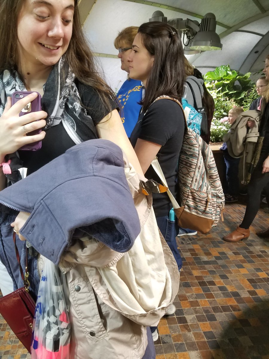 Molly Levinthal (vettechmollypop) Twitter