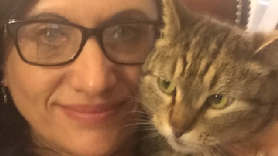 CBCNews's tweet image. Cat missing since 2013 found in Ontario, reunited with California owners cbc.ca/1.4049487