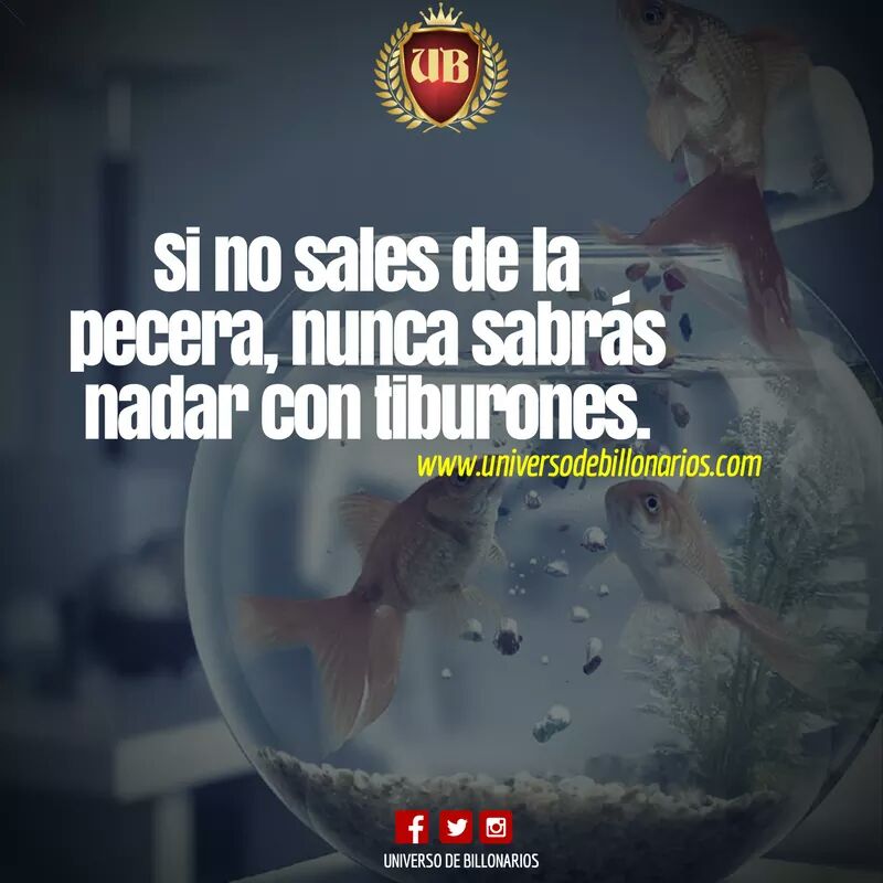 Dan2592v's tweet photo. #TrabajoenequipoIUV #EquipoItaluz cosas tan simples que así se aprende en @IUV_Universidad con la ayuda del profe @betopolar #VamosPorTodo https://t.co/WWp8FnosNK