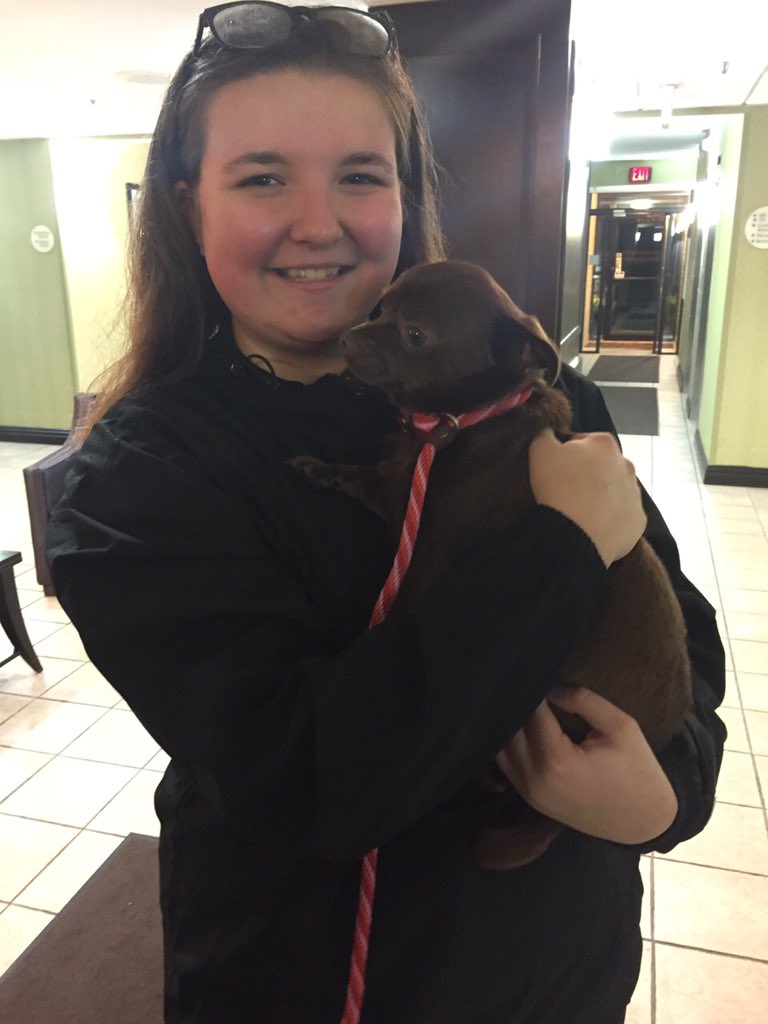hancunningham20's tweet photo. meeting over 60 dogs today will probably be the best thing to ever happen to me. 😍🐶😭❣️ https://t.co/kGzDmvpKyi
