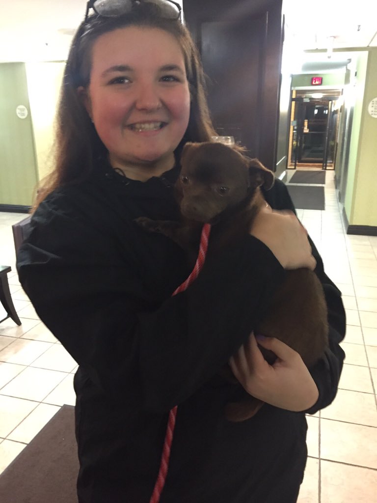hancunningham20's tweet photo. meeting over 60 dogs today will probably be the best thing to ever happen to me. 😍🐶😭❣️ https://t.co/kGzDmvpKyi