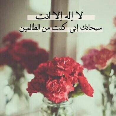 AlaAlameri's tweet image. أذڪروا الله يذڪُركم
 • سُبحان الله
 • الحمدلله 
• لا إله إلا الله 
• اللهُ أكبر 
• سُبحان الله و بحمده 
• سُبحان الله العظيم 
🌺