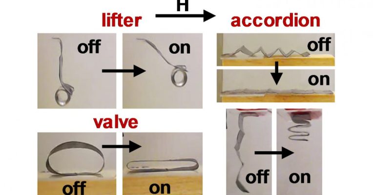 TechMindsets's tweet image. Scientists use magnetic fields to remotely control biologically inspired #soft_robots dlvr.it/Nmllwv