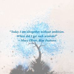 Lay aside ambition for a moment. Sit in the present as Mary Oliver suggests.
#poetryquote #spiritualinspiration #spiritualwisdom