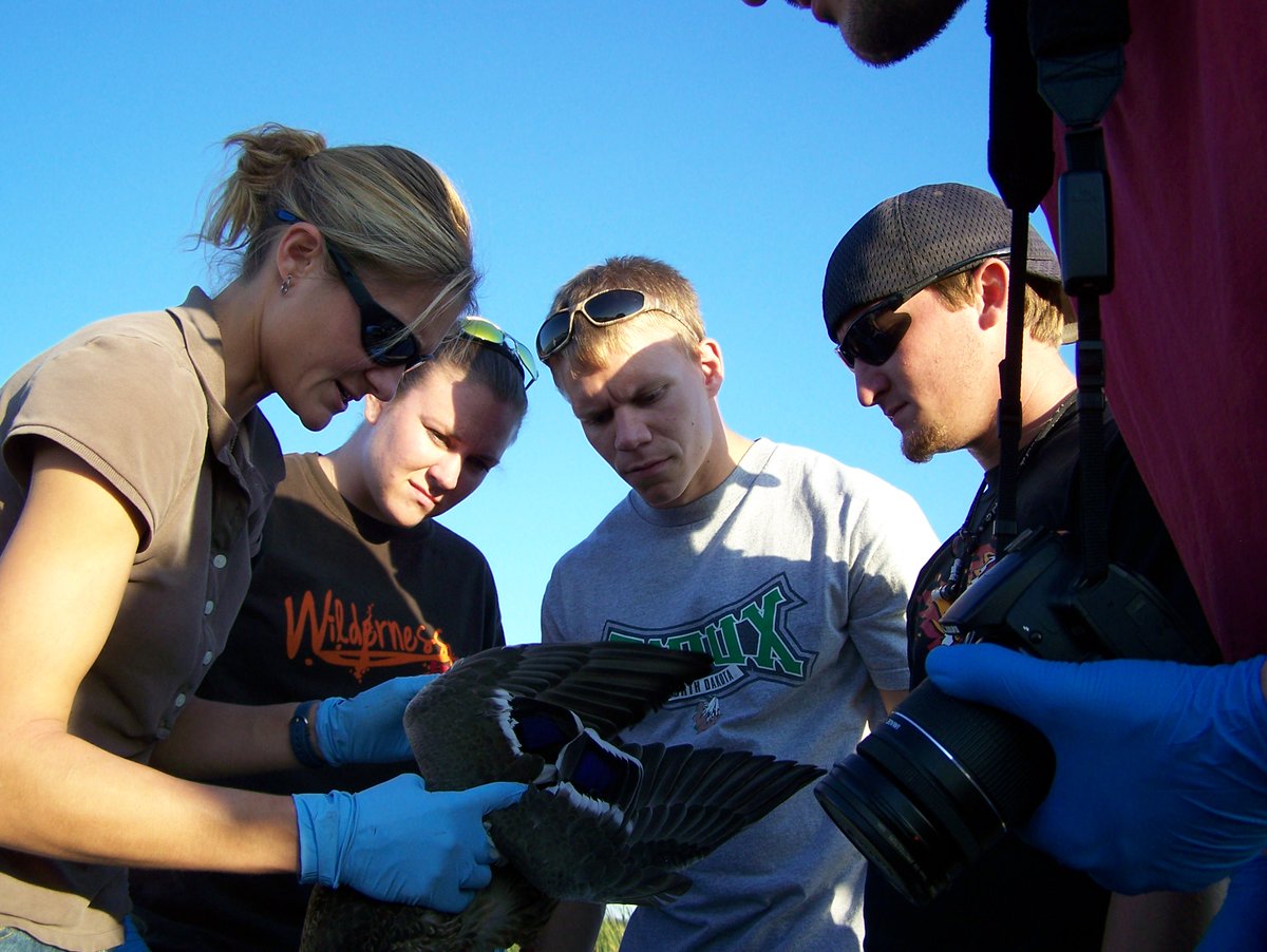 FelegeLab's tweet photo. #myUND Fisheries and Wildlife Biology major featured by @DakotaStudent. #NDCTWS #WildlifeEducation https://t.co/UygELCv6yO https://t.co/BTUZsdqb5s