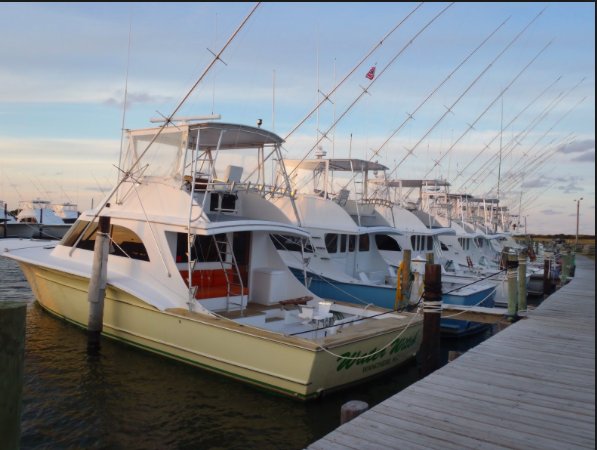 Sportfishing17's tweet photo. Couple pictures sent of the fleet in Hollywood Florida early this morning getting ready to head out. #fishing #sportfishing https://t.co/42jNKqnuq5