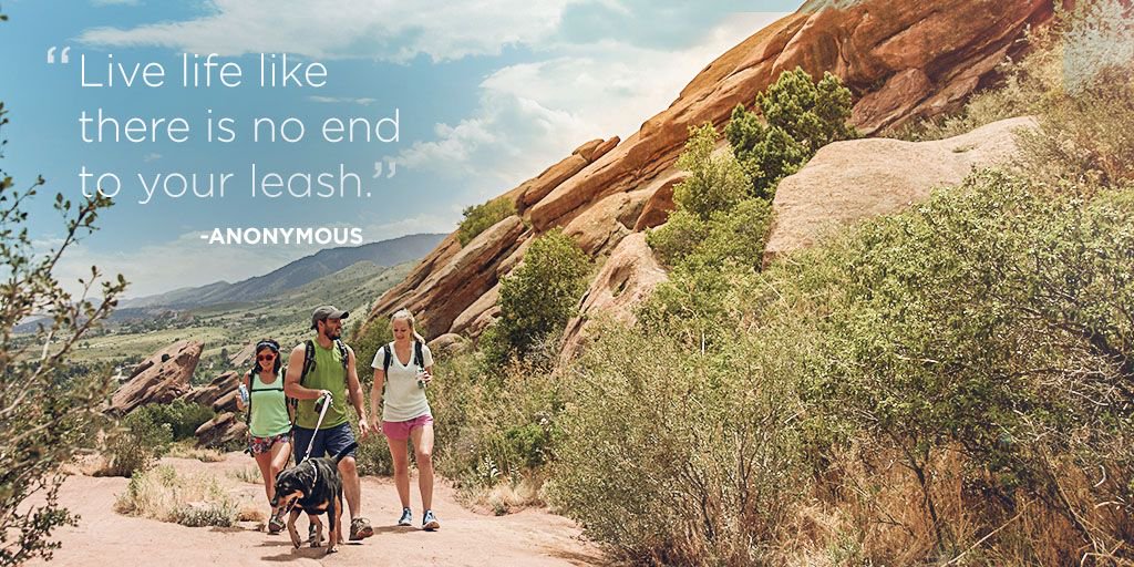 Don't let anything hold you back. #Motivation