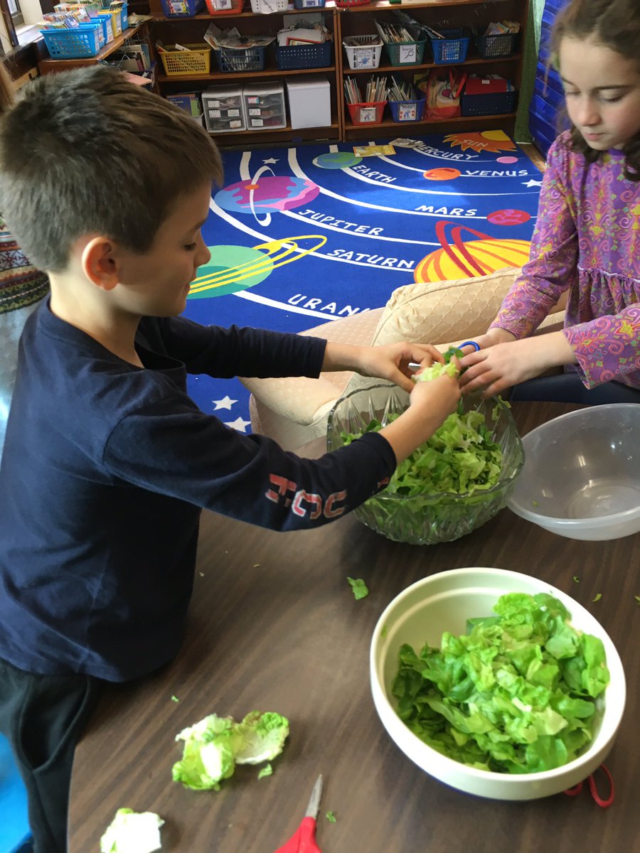 PeaksIslandES's tweet photo. Salad at lunch! Thanks 3/4 for first harvest of hydroponically-grown lettuce! @PORTLANDPUBLIC #PIESRising #PBL #cantwaitfortheHGHconnection https://t.co/HC2FWl3i9e
