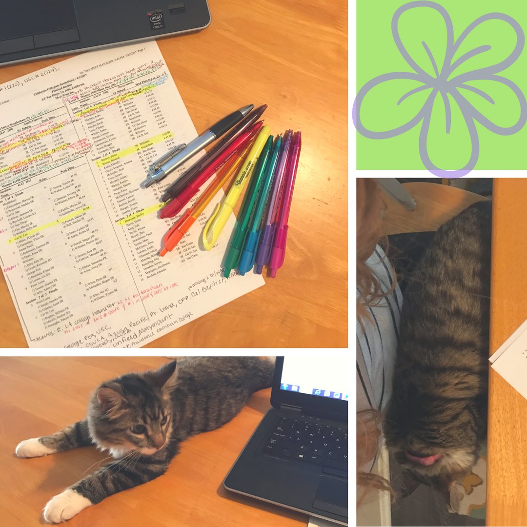 MeagherCaitlin's tweet photo. Meet prepping with #bae #furmommaslittlehelper #colorcoding #mainecoon #mainesqueeze https://t.co/gq4n3EPA47
