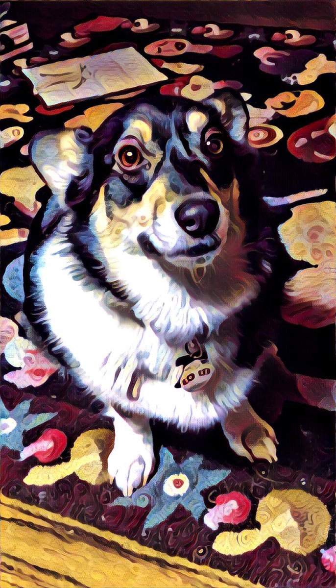 StephenKing's tweet photo. Molly, aka the Thing of Evil, is in training to take on  Pennywise and the Man in Black in a tag-team match. She says they'll both float. https://t.co/jDem8jH5lo