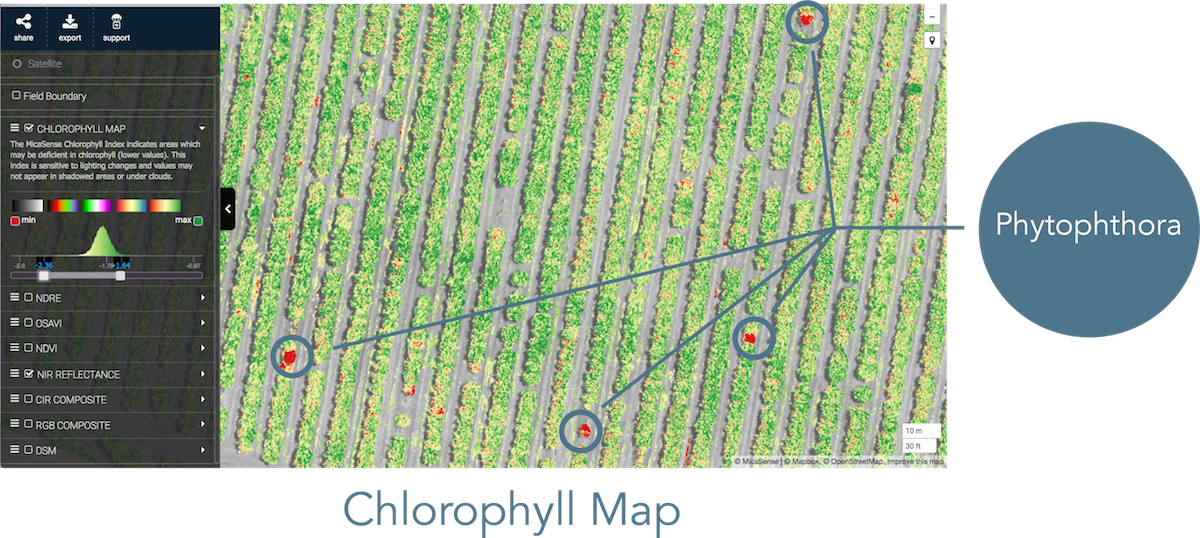MicaSense's tweet image. Read about a #citrus grower&apos;s approach to disease monitoring. Spoiler: he used #AtlasData from #RedEdge &amp;amp; saved $$ bit.ly/2nhkzHQ