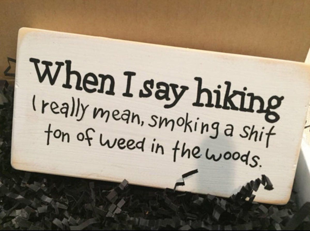 420's tweet photo. who wants to go hiking tomorrow? https://t.co/YqSslpQXQR