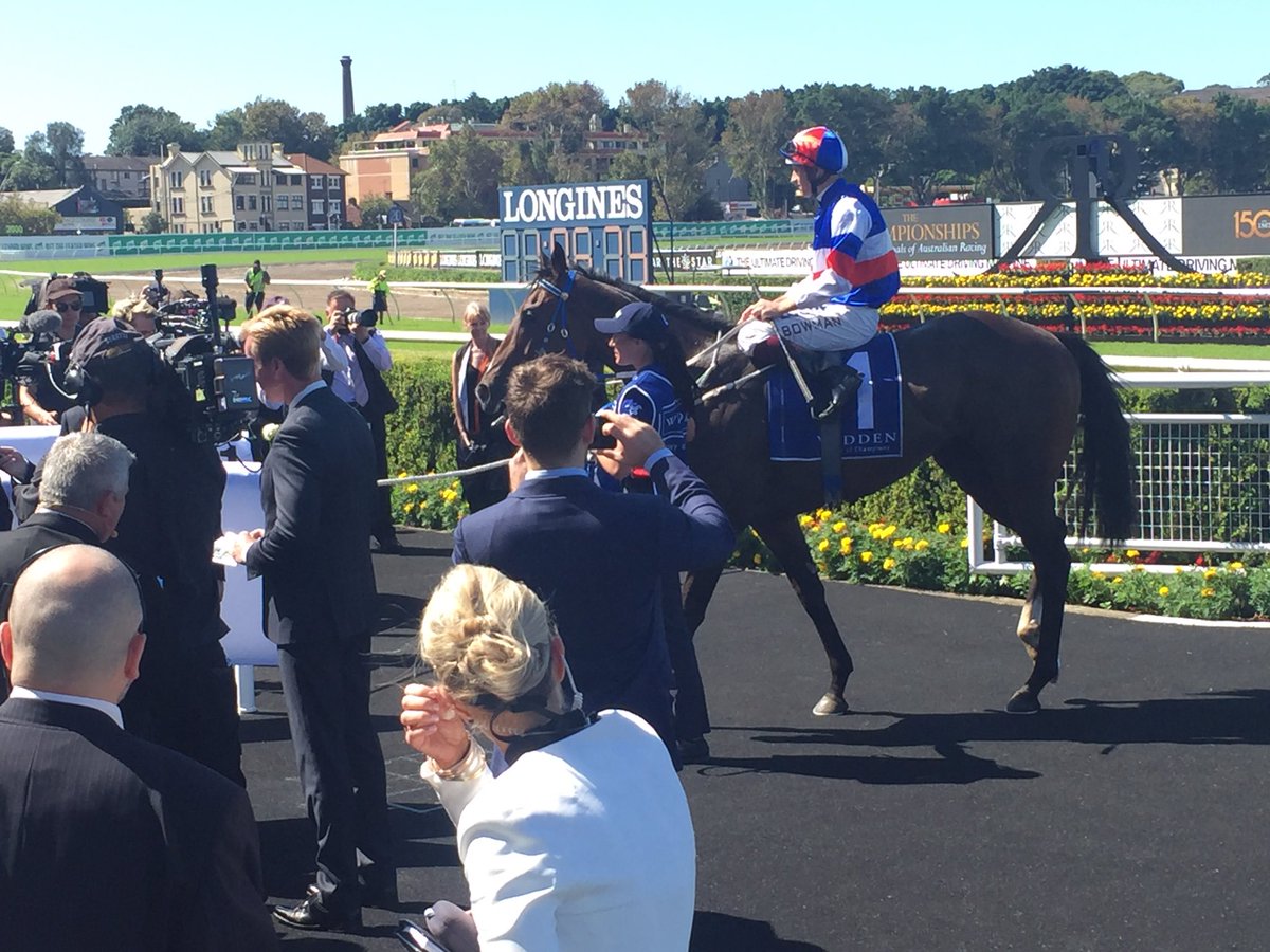 widdenstud's tweet photo. Here's your impressive winner of @widdenstud 150th Anniversary Stakes, PROPERTY! Congratulations to David Price &amp; @jftpaddock 
#Widden150 https://t.co/vO9jBWZ6Rq