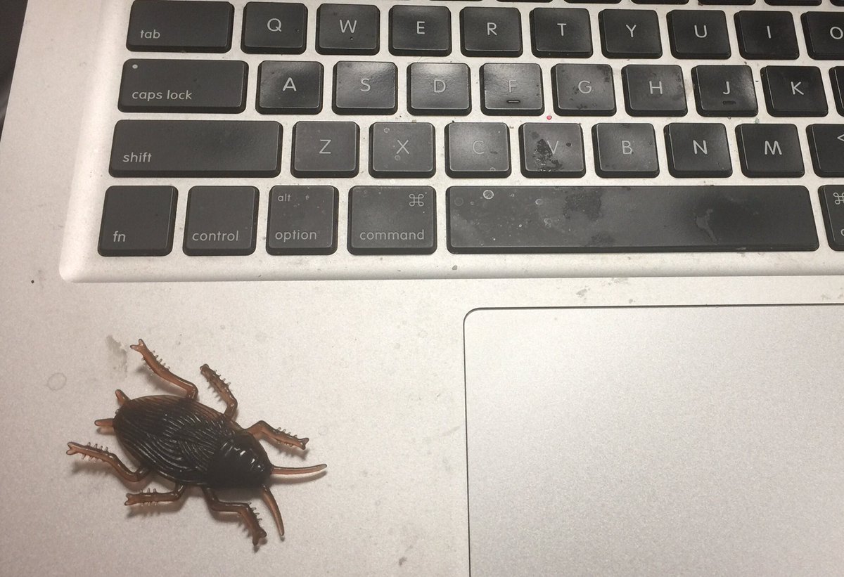 After enduring a fake spelling test for April Fool's someone in my class decided to reciprocate
<a href="/BennettBears/">Bennett Bears</a> #bearshine