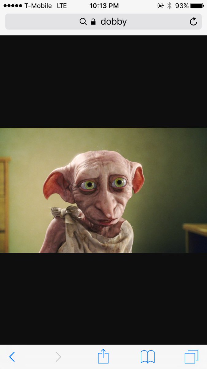 _marsh_mallow__'s tweet photo. Lexi or dobby?? https://t.co/cgqBHzUJv3