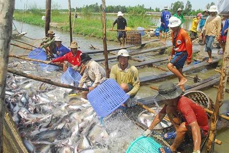 ScanwellL's tweet photo. Trung Quốc tăng nhập khẩu cá tra từ Việt Nam
#fish #import #export #news @ScanwellL #logistics
Follow us here:
https://t.co/eicWuOETgY https://t.co/TWVRg7A3mU