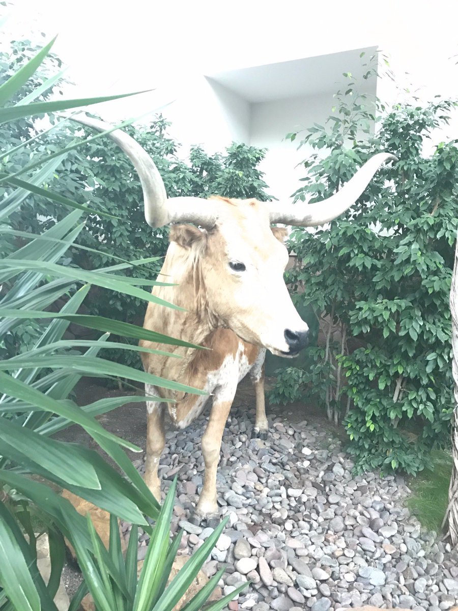 FinancialDesig1's tweet photo. We must be in TX! Great day at TCEP Connect.  @TEXACEP #TCEP17 #TCEPConnect https://t.co/BCHJIH9csL