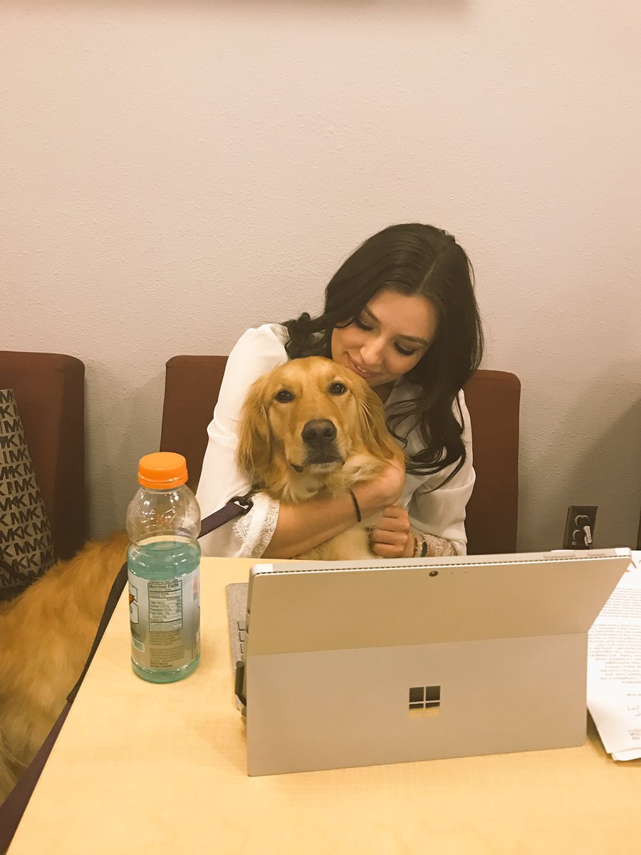 jessiejstone's tweet image. When the pup helps write your final group projects, but better tonight than tomorrow during @FinalFour. #FridayNight #HaydenLibrary