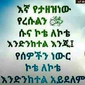 binat_mohammed's tweet photo. https://t.co/uDsdY11xfP