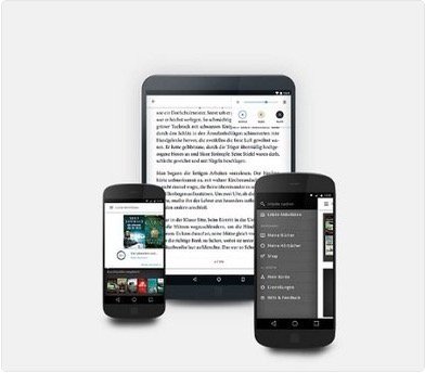 _DigitalMotion's tweet image. Les Français dépensent 13€ par mois pour acheter des ebooks 

idboox.com/etudes/les-fra…