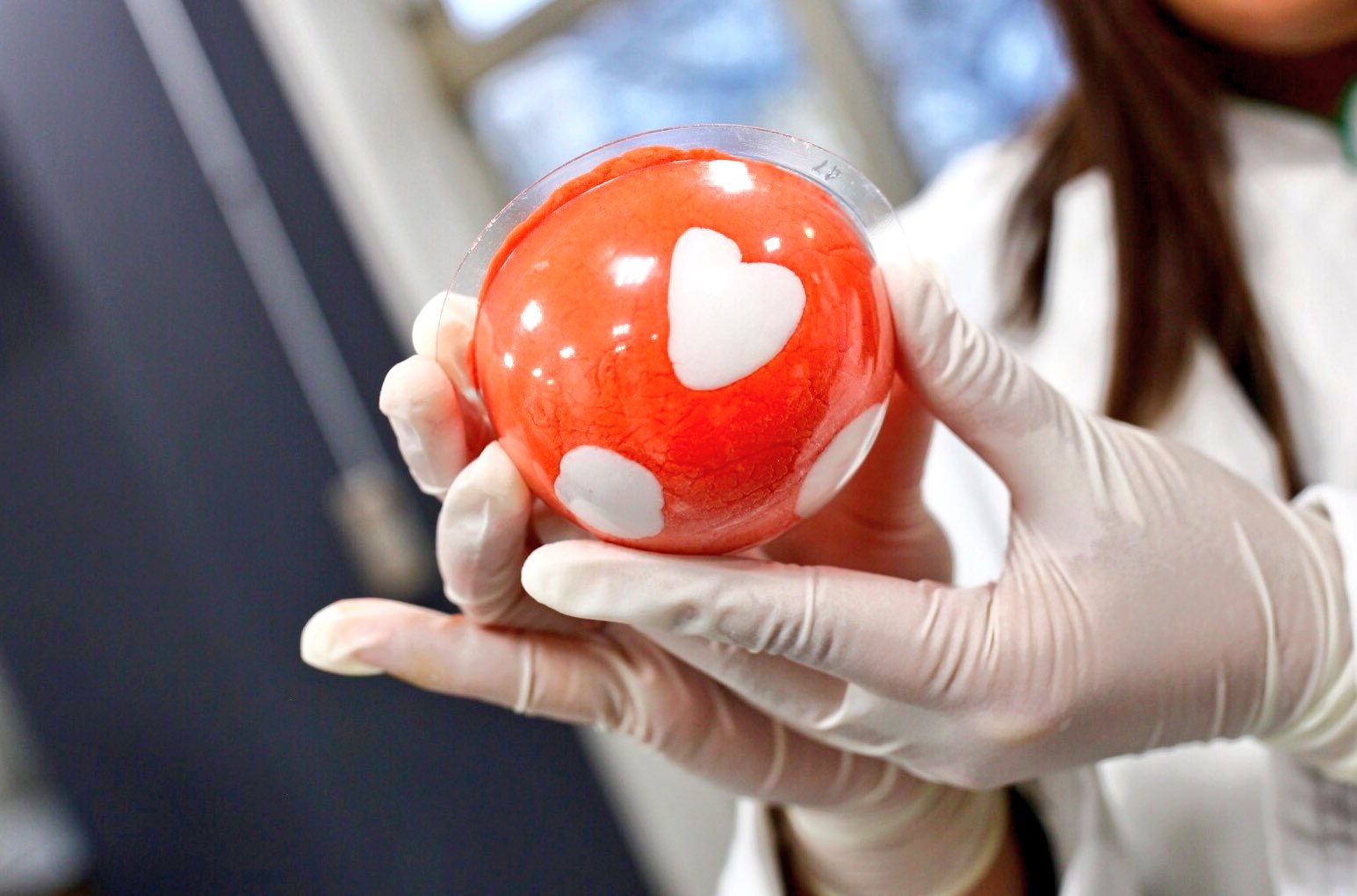 Lush Kitchen 日本版 on Twitter: Lush Kitchen 日本版 on Twitter: