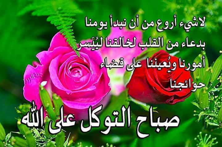 ♤♤♤صباح الخير على جميع الاحبه والاصدقاء اخوكم لكيت العمر ♤♤♤