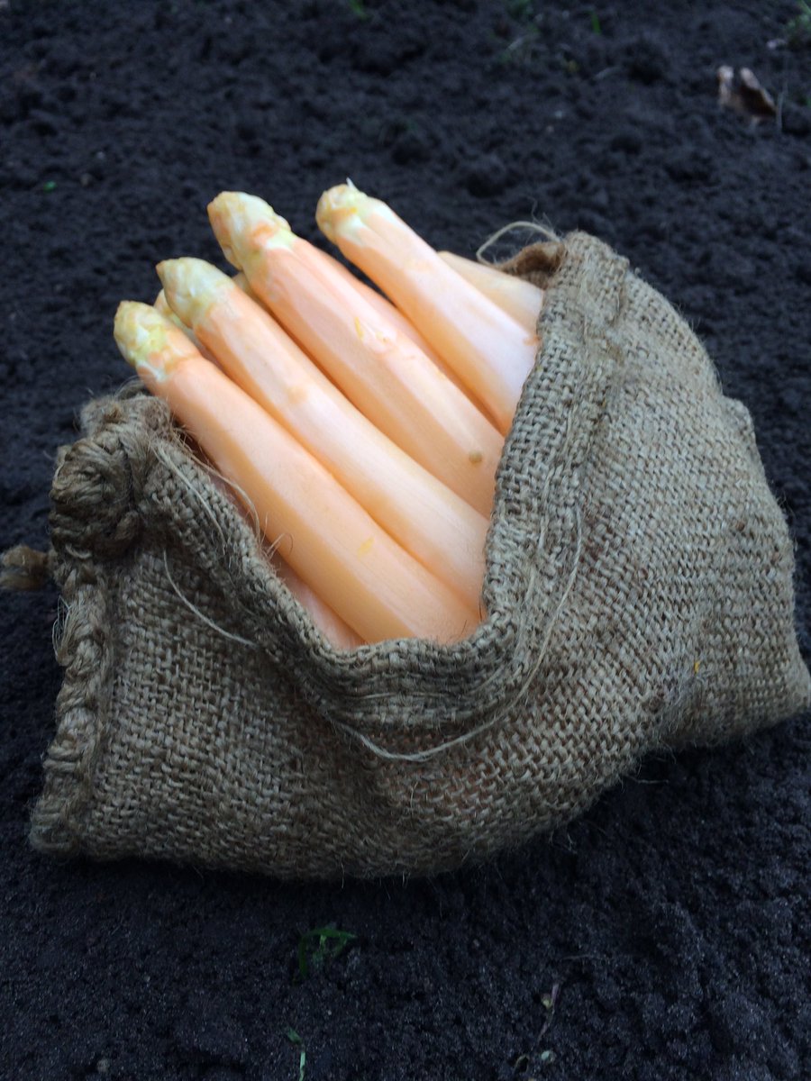 Vandaag op het menu, oranje Wald-asperge @herbergvansmallingerland