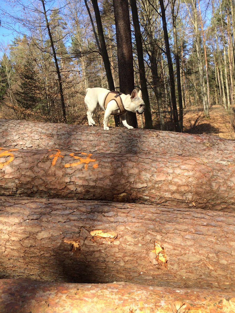 Moin. Startet gut in den Tag😘