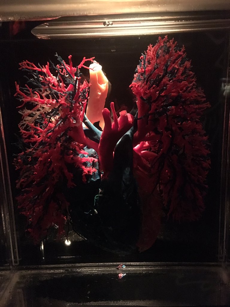 WestCFrench's tweet photo. The #REALBODIES at #Bally in#LasVegas is a wonderful experience!  Learned so much and cleared up a few misconceptions! https://t.co/91QMgfEQZ4