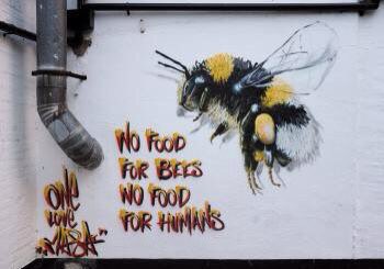 JillJade1's tweet photo. What a great way to spend awareness about endangered species! @louismasai 
#bringbackthebees #savethebees #pollinators https://t.co/0nS6oXVKK5